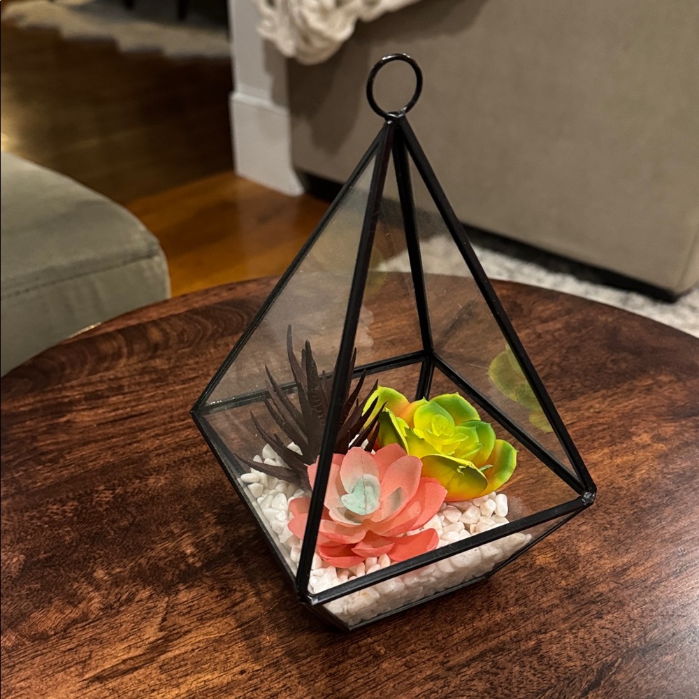 REAL LIVING THYME TO GROW TABLETOP DECOR